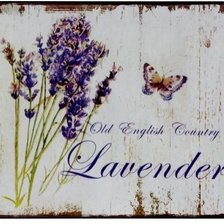 Схема вышивки «лаванда»