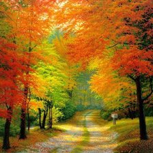 Схема вышивки «შემოდგომა-осень»