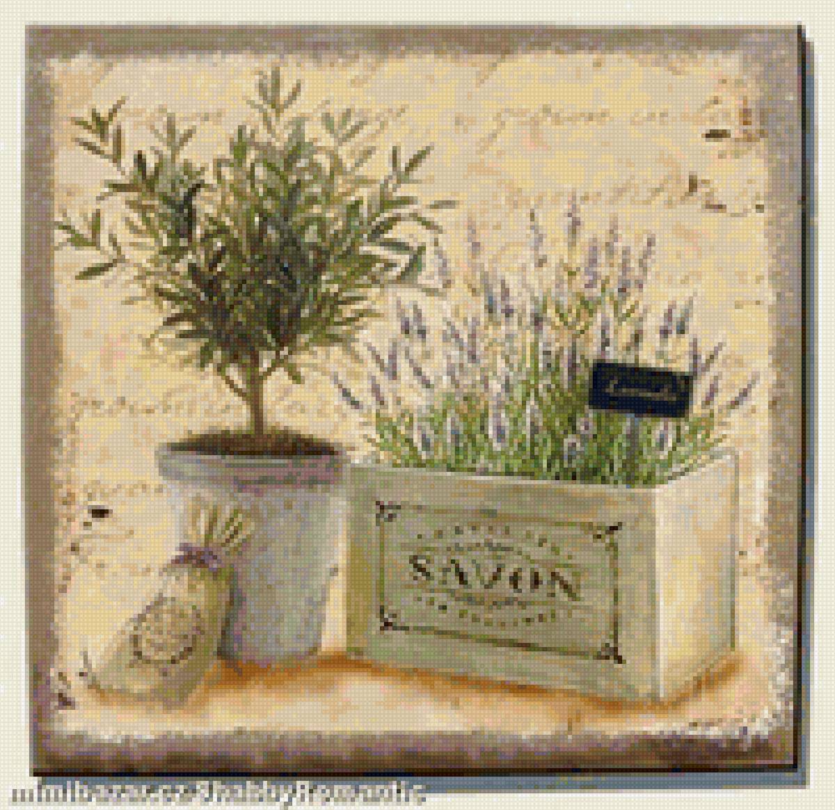 лаванда - лаванда, прованс - предпросмотр