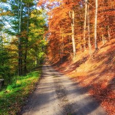 Схема вышивки «შემოდგომა-осень»