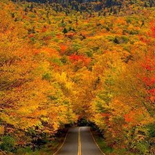 Схема вышивки «შემოდგომა-осень»