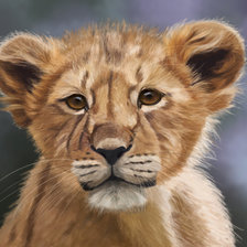 Схема вышивки «Лев»