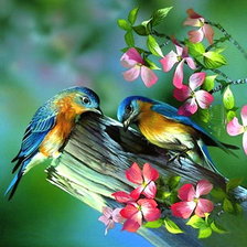 Схема вышивки «Птички»