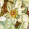 Предпросмотр схемы вышивки «Натюрморт» (№1856469)