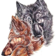 Схема вышивки «рисунок»