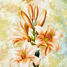 Схема вышивки «Цветы»