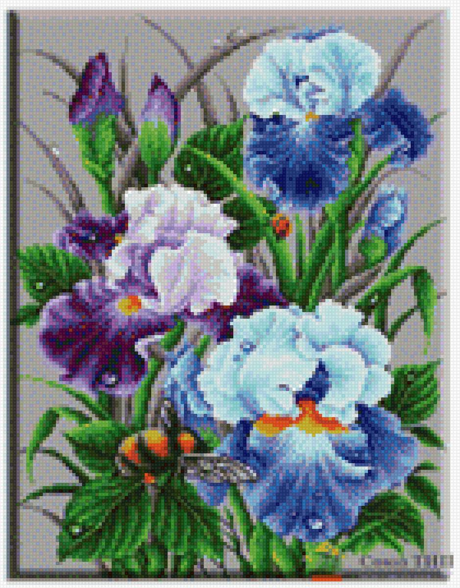 ирис и шмель - предпросмотр