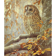Схема вышивки «Серия "Птицы". Сова»