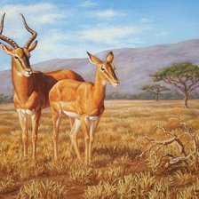 Схема вышивки «Антилопы»