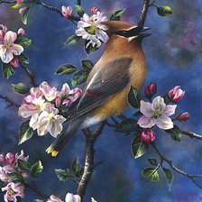 Схема вышивки «птица»