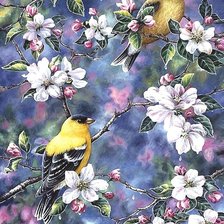 Схема вышивки «птицы»