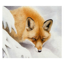 Схема вышивки «Серия "Лисы"»