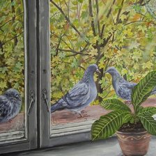 вид из окна