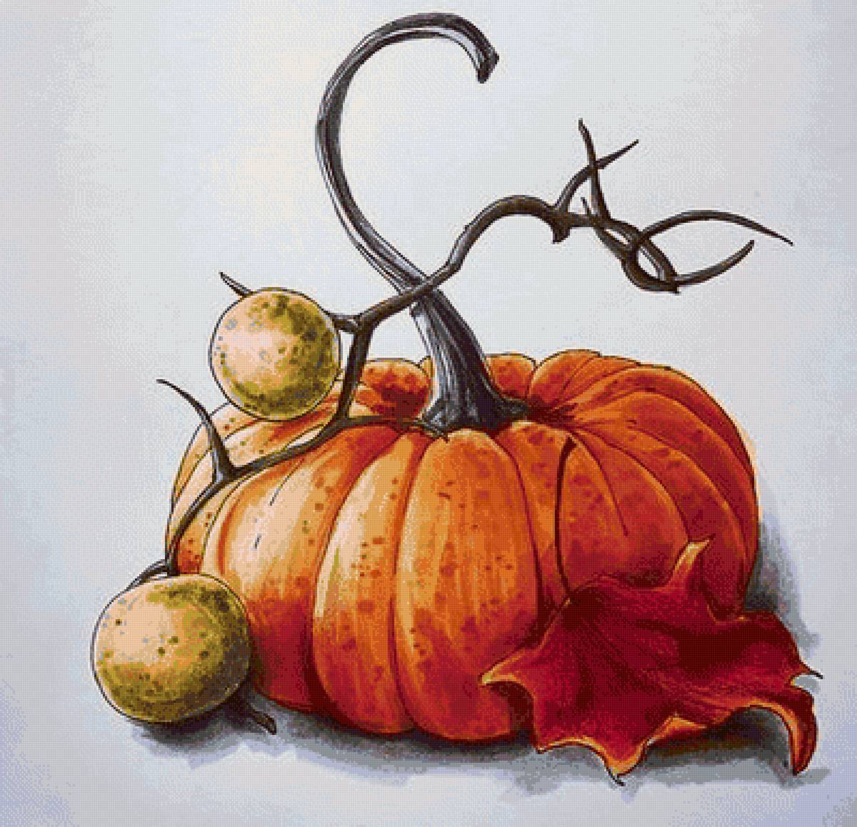 Тыква - предпросмотр