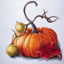 Схема вышивки «Тыква»