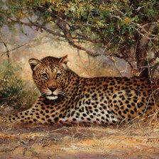 Схема вышивки «Леопард»