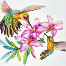 Схема вышивки «Колибри»