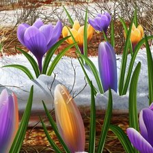 Схема вышивки «№1858180»