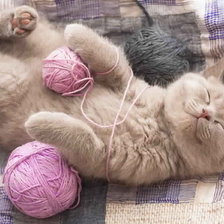 Схема вышивки «котик с клубком»