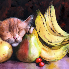 натюрморт с котиком