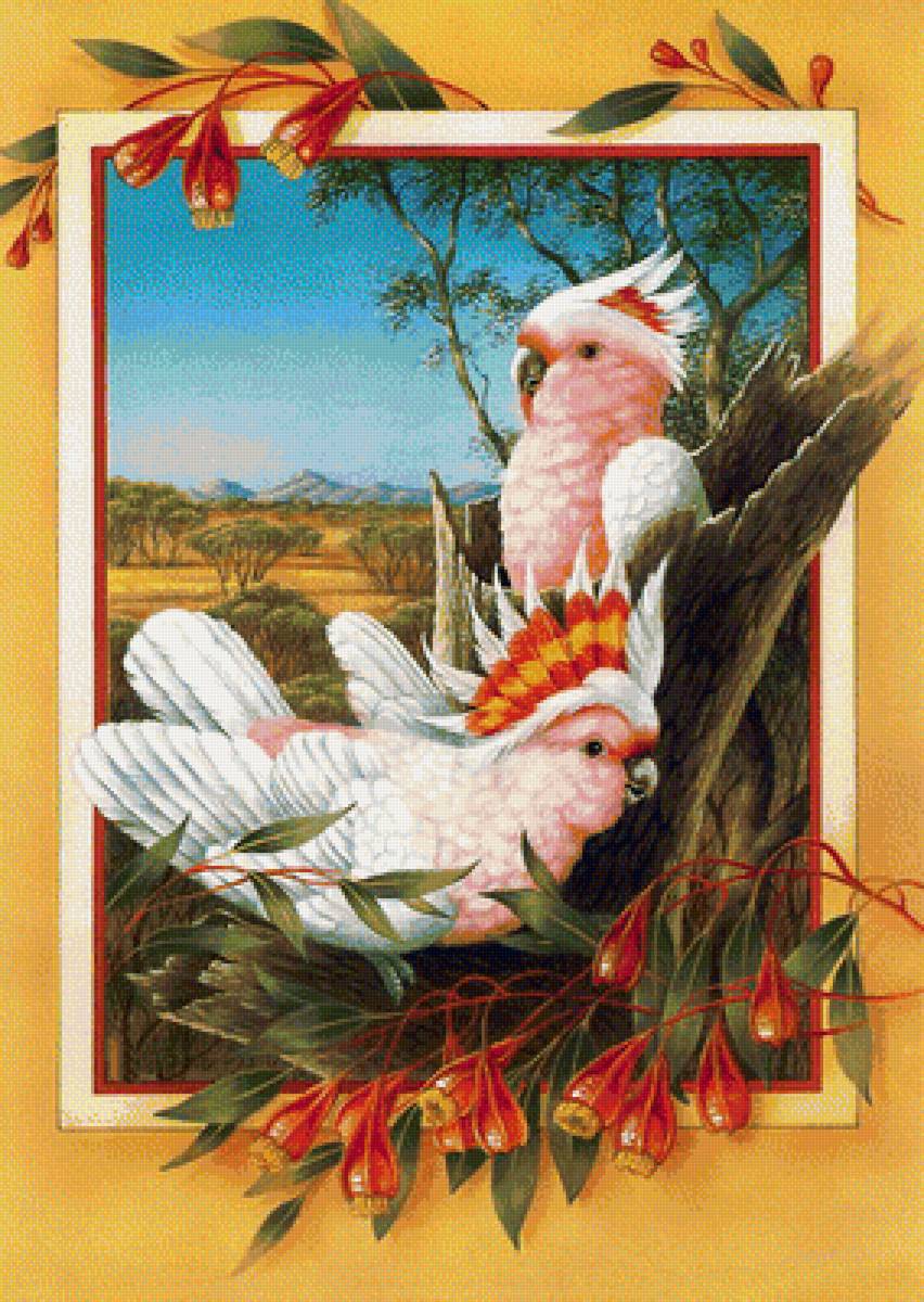 Серия птицы. Попугаи - попугаи, цветы, птицы, картина - предпросмотр