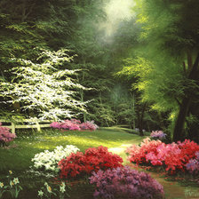 Схема вышивки «пейзаж»