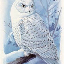Схема вышивки «Полярная сова»