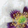 Предпросмотр схемы вышивки «Натюрморт» (№1858743)