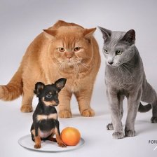 Схема вышивки «три грации»