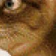 Предпросмотр схемы вышивки «котик психанул!» (№1858978)