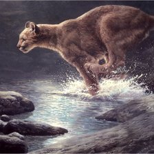 Схема вышивки «серия хищники. пума»