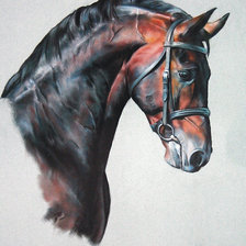 Схема вышивки «серия лошадки»