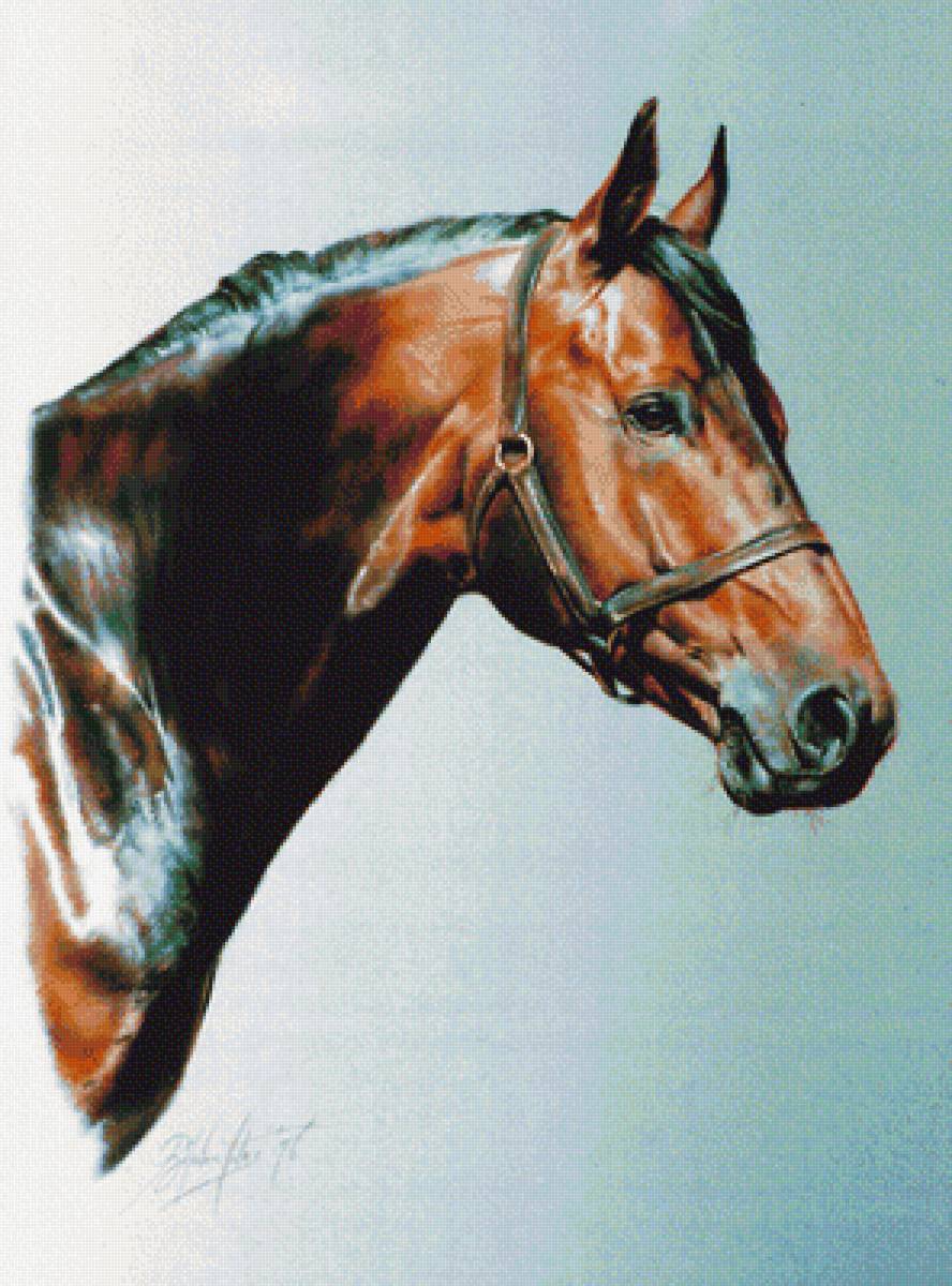 серия лошадки - лошадь, картина - предпросмотр