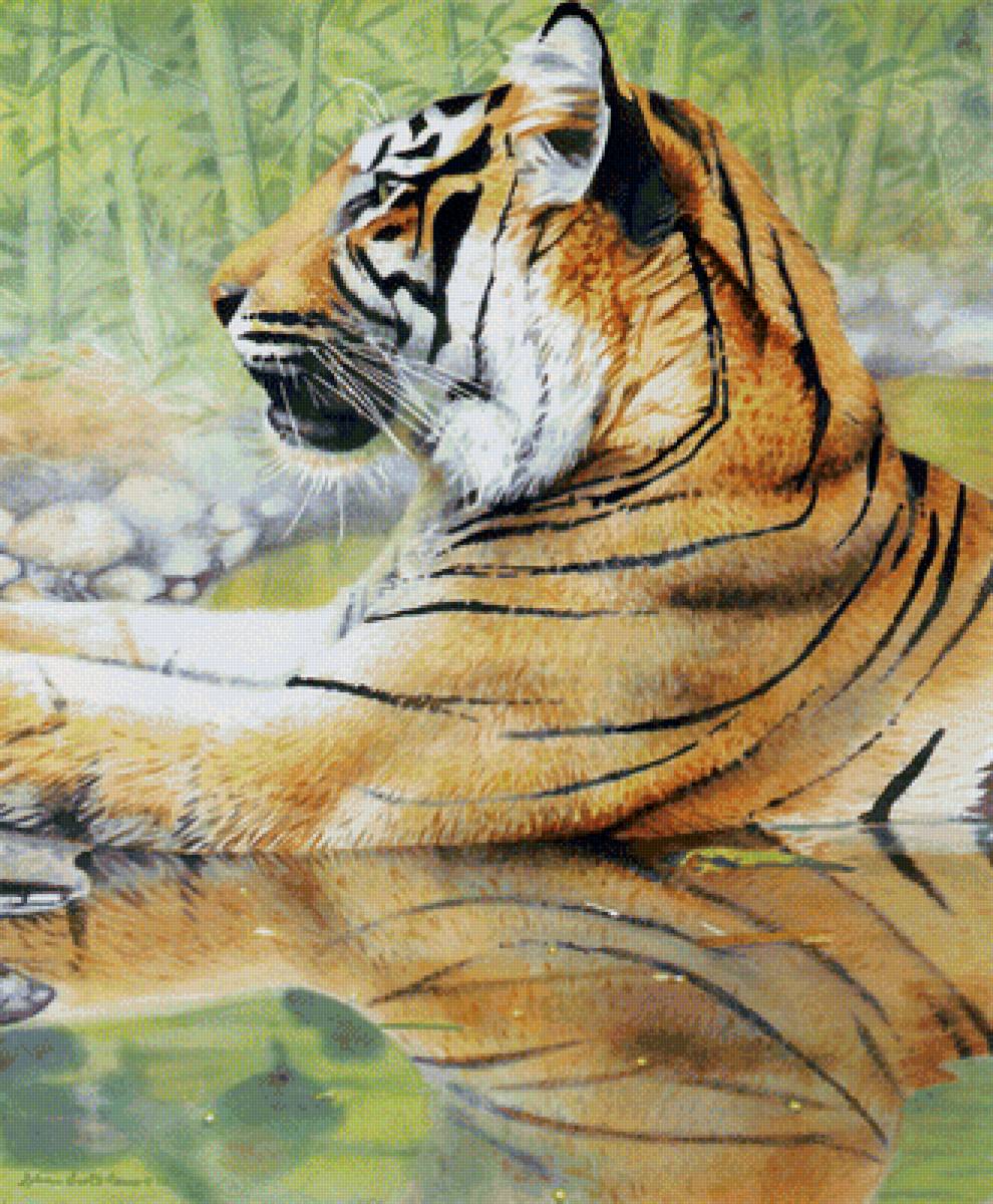 серия хищники. тигр - хищники, тигр - предпросмотр