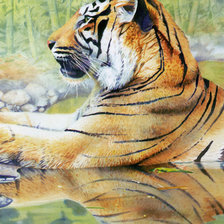 Схема вышивки «серия хищники. тигр»