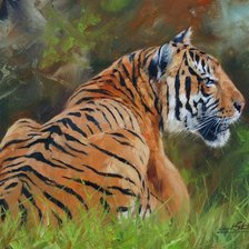 Схема вышивки «серия хищники. тигр»