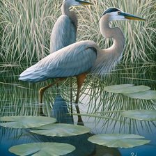 Схема вышивки «Цапли»
