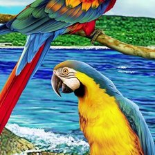 Схема вышивки «попугаи»