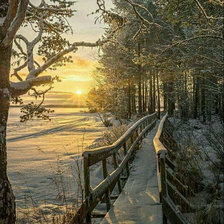 Схема вышивки «зимний вечер»