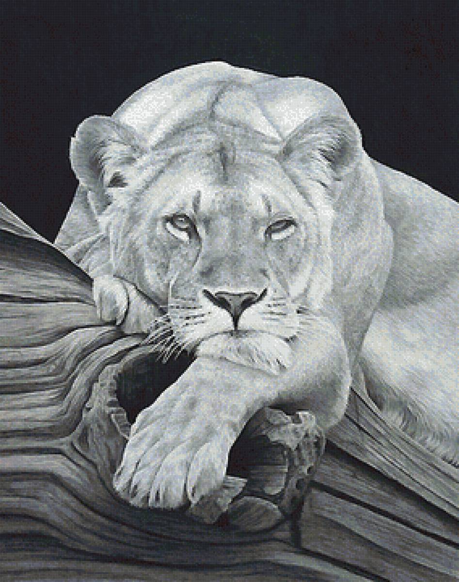 рисунок - предпросмотр