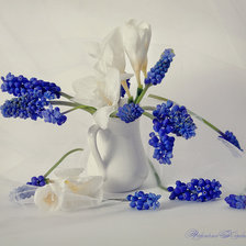 Схема вышивки «Бело-голубая компазиция»