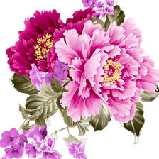 Схема вышивки «Цветы.»