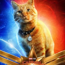 Схема вышивки «Captain Marvel Goose»