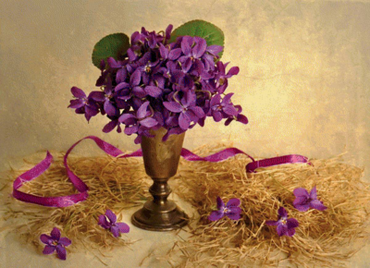 Фиалки - букет, цветы, фиалки - предпросмотр