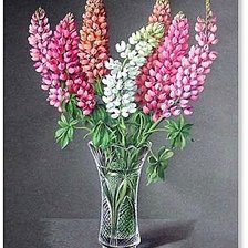 Схема вышивки «№1860026»