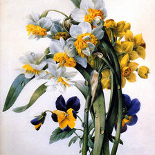 Схема вышивки «Нарциссы и анютины глазки»