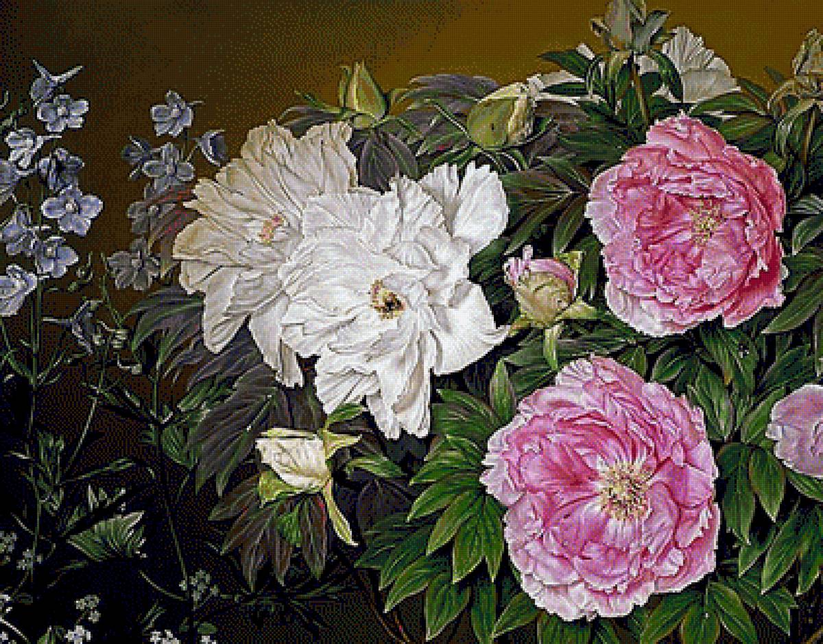 №1860350 - пионы - предпросмотр