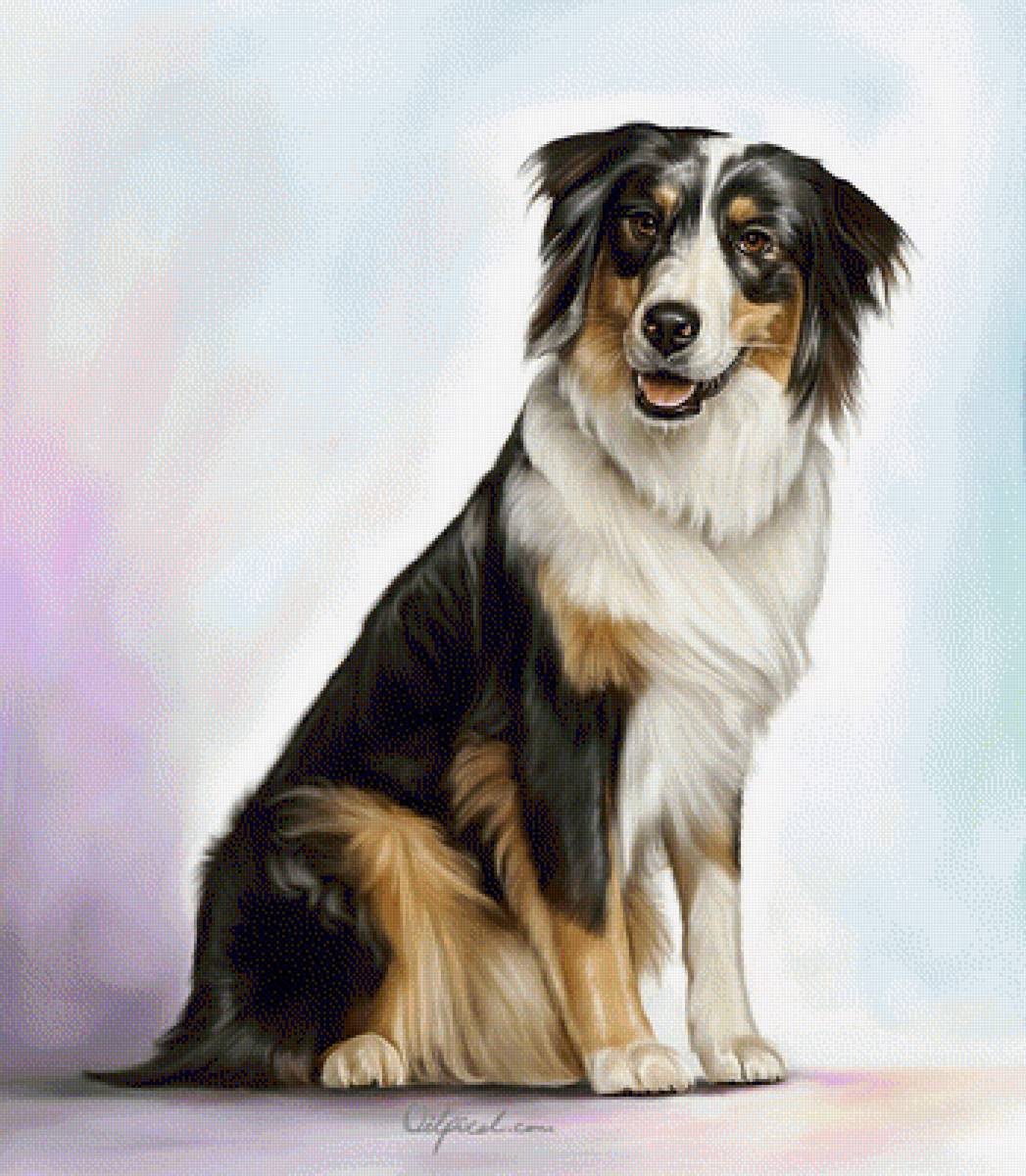 Собачка - art, животные, собака - предпросмотр