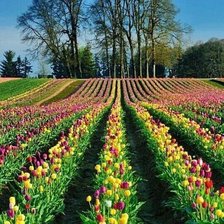 Схема вышивки «478»