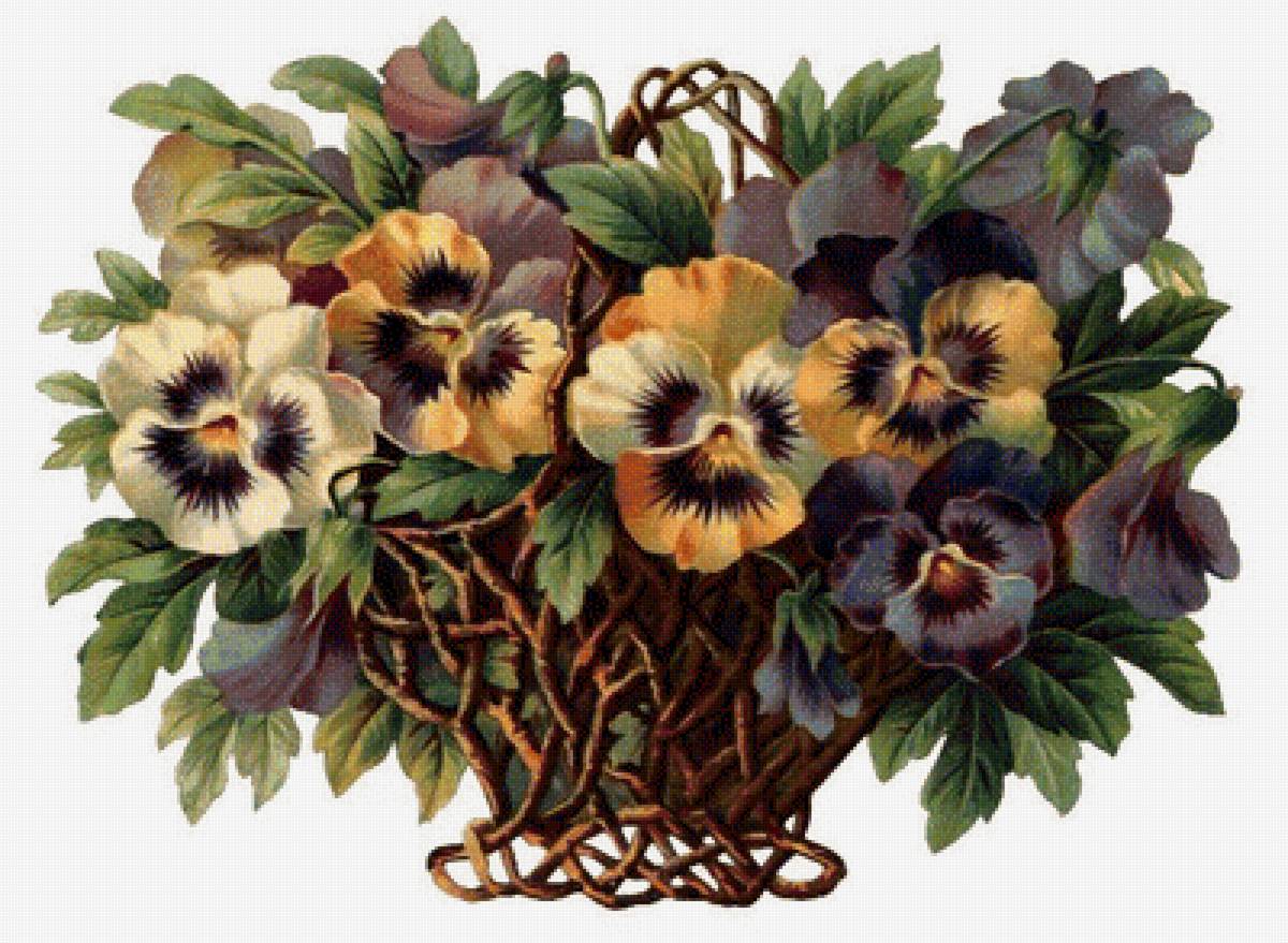 Анютины глазки - анютины глазки, цветы, букет - предпросмотр